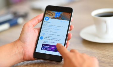 Twitter, kuş heykelini ve diğer ofis mobilyalarını açık artırmaya çıkardı