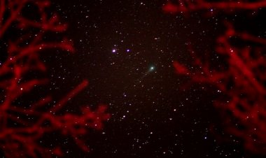 Yeşil kuyruklu yıldız 50 bin yıl sonra ilk kez geçecek