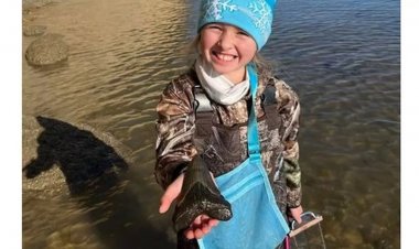 9 yaşındaki kız sahilde megalodon köpekbalığı dişi buldu