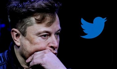 Elon Musk hakkında yeni iddialar: Tuvalete korumayla gidiyor, ofis bitkilerini satmaya çalışıyor