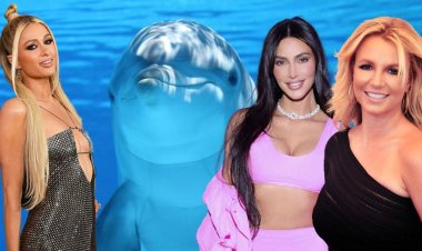 Yunusların Kim Kardashian, Paris Hilton ve Britney Spears ile ortak bir özelliği keşfedildi