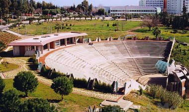 The Other Females: The Rise of Third World Feminism and the Enigma of Global Sisterhood