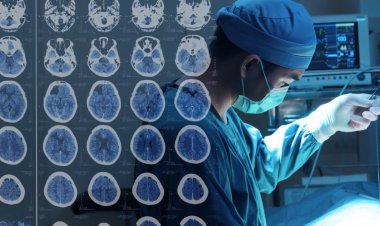 Bilim insanları, beyindeki iç pusulanın nasıl çalıştığını tespit etti