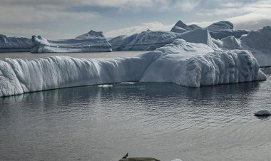 Küresel ısınma okyanusların karbondioksit emme kapasitesini düşürdü