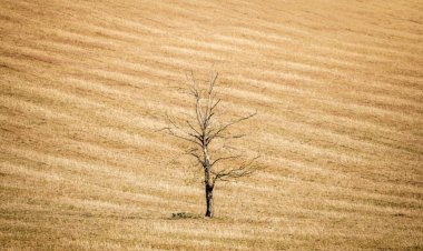 İngiltere: İklim değişikliğine hazırlıklı değiliz
