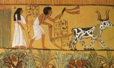 Tarım Devriminin Olumlu Ve Olumsuz Etkileri (Arif Arda Bulut)