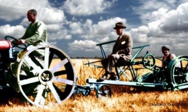 Tarım devriminin insanlara olumlu ve olumsuz etkileri olgun cura