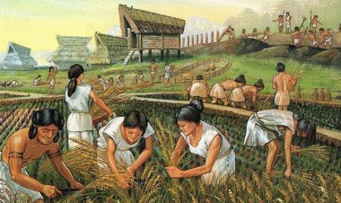 Tarım Devriminin İnsanlara Olumlu ve Olumsuz Etkileri-Melike Yağmur DİNÇ