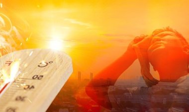 OPEN-METEO-APİSİNİ-KULLANARAK-KULLANARAK-SICAKLIK-RĞZGAR-GÖSTERME