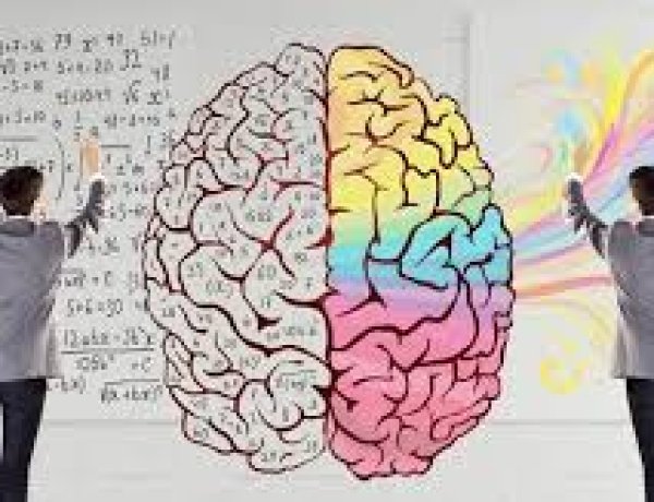 Analatik Düşünme Nedir ve Katkıları